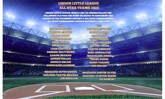 2025 Linden Little League All Stars